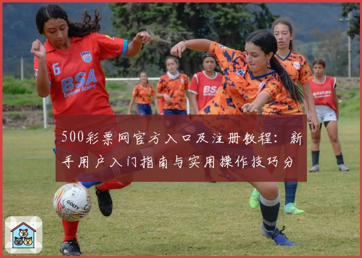 500彩票网官方入口及注册教程：新手用户入门指南与实用操作技巧分享